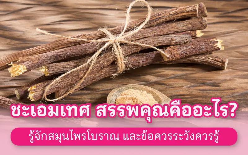 ชะเอมเทศ สรรพคุณคืออะไร? รู้จักสมุนไพรโบราณ และข้อควรระวังควรรู้